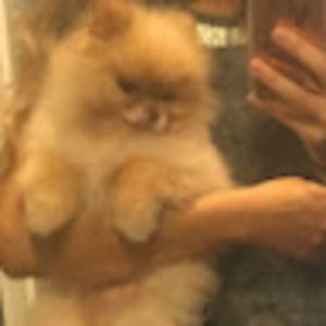 Meet your Posher, Teresa